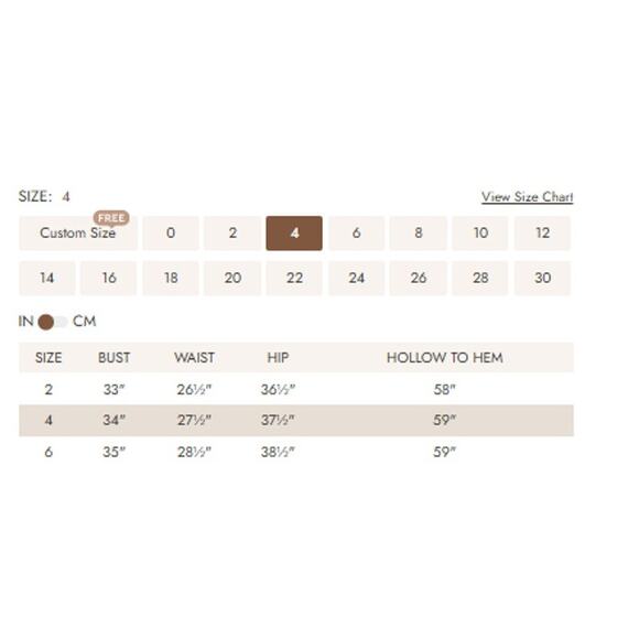 AW BRIDAL SZ 4 S taupe satin Furst bridesmaid gala formal party maxi dress B119 - Picture 5 of 5